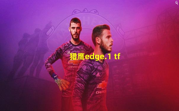 猎鹰edge.1 tf